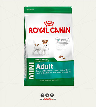 Royal Canin Mini Adult