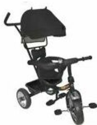 Junior Baby Tricycle With Shade Black