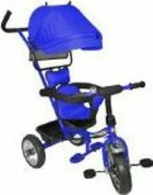 Junior Baby Tricycle With Shade Blue