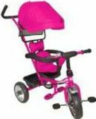 Junior Baby Tricycle With Shade Pink