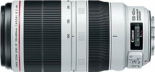 Canon EF 100-400mm Telephoto Zoom Lens
