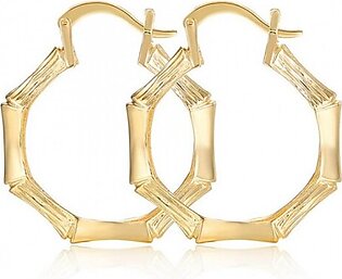 Gold Hoop Earring Trendy and stylish for Women – AE32
