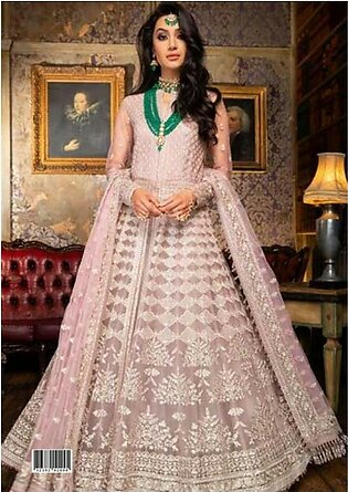 Heavy Net Embroidered Dress With Net Dupatta