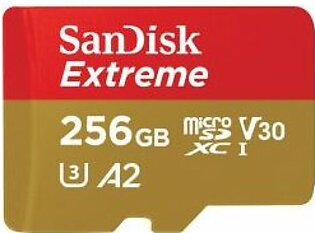 Sandisk 256GB MicroSD Card