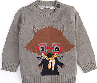 Boys Sweater - 0222530...