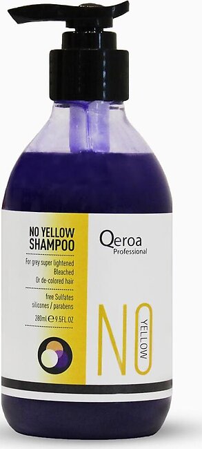 Silver Shampoo / Purple Shampoo – Professional