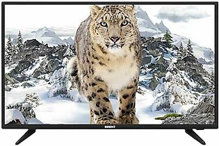 Orient Leopard Led Tv 32 Inch