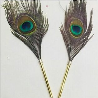 Nikkah Surprised Antique Real Peacock Feather Pen