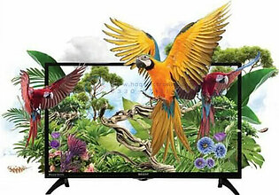 Orient Macaw 40 Inches HD LED TV Black