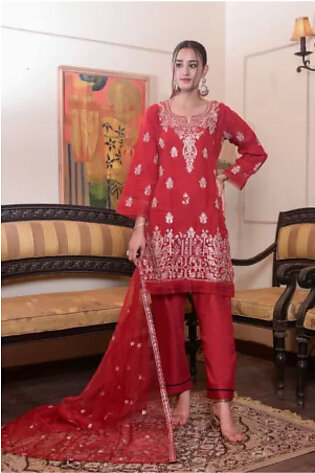 Luxurious Embroidered Organza 2 Pc