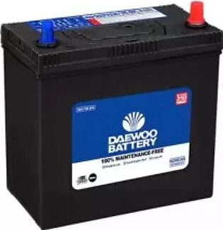 Daewoo DLS-65 Maintenance Free Lead Acid Sealed Battery