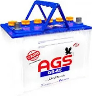 AGS GL-65 12V Light Battery