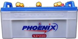 Phoenix XP220 25P 175H N150 Family Lead Acid Battery