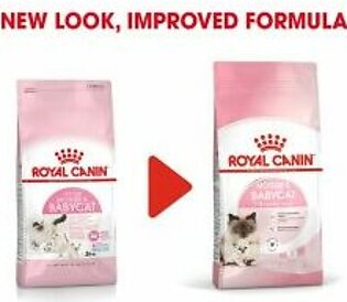 Royal Canin Mother n Baby Cat Dry Food – 2 KG