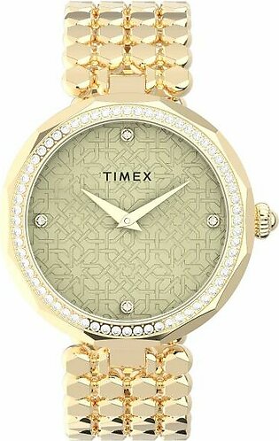 TIMEX TW2V02500 Watch