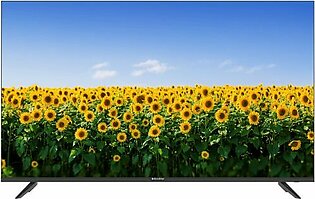 EcoStar 50UD963 50 Inches Android 11 4K UHD Frameless TV