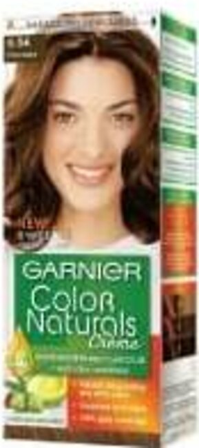 Garnier Hair Color 6.34 Chocolate Brown