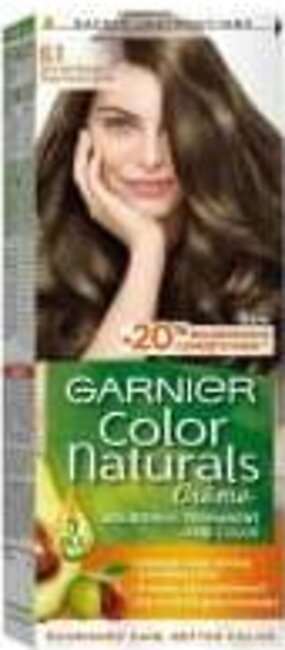 Garnier Hair Color 6.1 Dark Ash Blonde