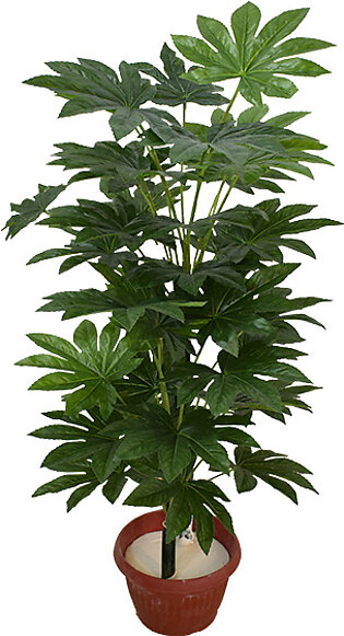 Daecola Plant Pot