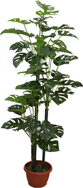 Seylerra Plant Pot