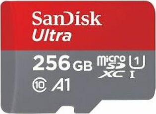 SanDisk Ultra microSD with SD Adapter - 256GB