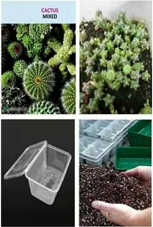 Diy Store Cactus Seeds with Germination Kit