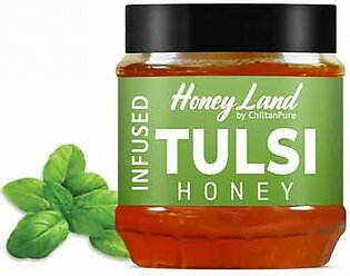 Chiltan Pure Tulsi Honey - 450gm
