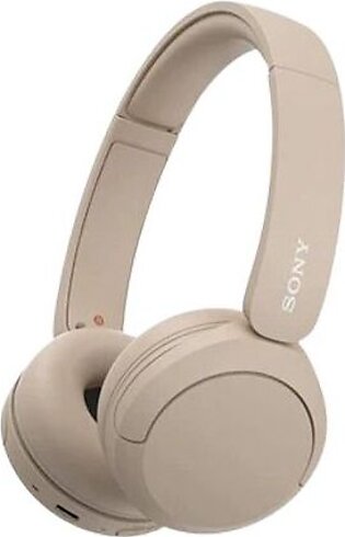 Sony Wireless Headphones With Microphone (WH-CH520/BZ)-Black