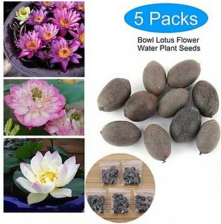 Diy Store Lotus Aquatic Mix Plant Seeds