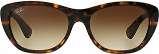 RayBan Non-Polarized Women's Sunglasses RB4227