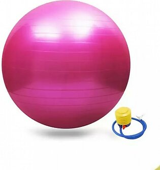 Sports Hub Balance Exercise Ball - Pink
