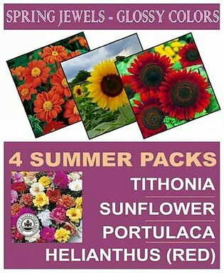 DIY Store Summer Flower Seeds Pack of 4 (0044)