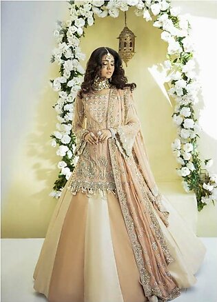AJR Couture - Abbas Jamil Rajpoot Luxury Pret Bridal Net 2 Piece Dress AJR22BRD GRACE