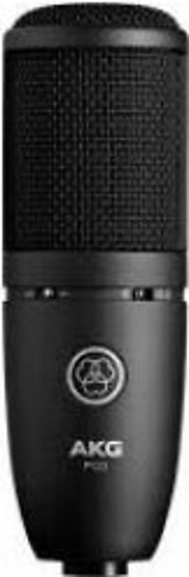 AKG P120 Cardioid Condenser Microphone (Black)