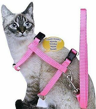 CAT HARNESS WITH LEASH