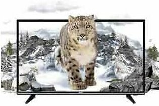 Orient 32 Inch Leopard HD Ready LED TV