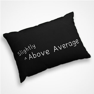 Slightly Above Average  – Pillow Cover