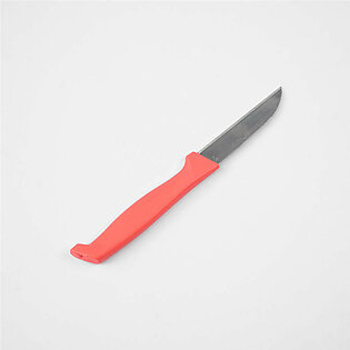 Stainless Steel Basic Kitchen Knife