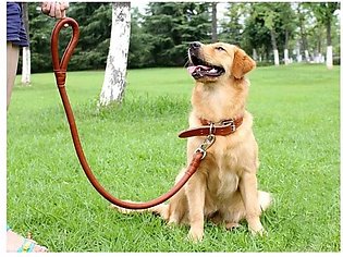 Collar + Leash For Dogs - Adjustable