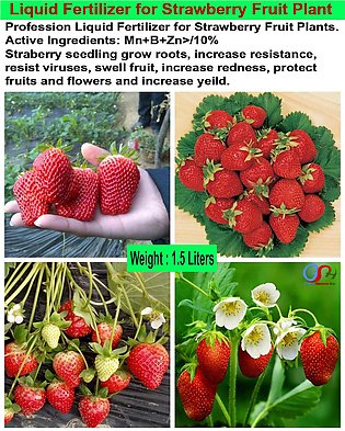 Liquid Fertilizer for Strawberry Fruit Plant (1.5 Liters)