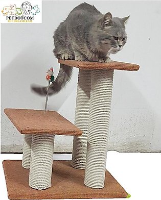 Cat Scratch Post - 4 Pools - Double Bed - Best For Cats