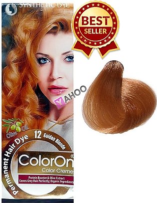 Color On hair color Salonist Hair Colour Nourishing Golden Hair Color  Ash Blonde Hair Color (upto 4 Applications) with Orange Aroma