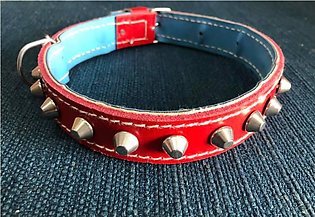Collar For Dogs (spike Style)  M size