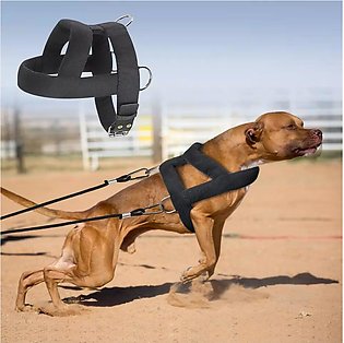 Weight Pulling Dog Training Harness