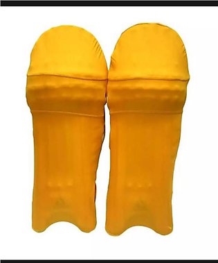 Pair of cover batting pad - safely dust proof - multicolor