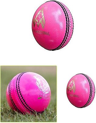 Indoor Rubber Cricket Ball - Pink - 70gm
