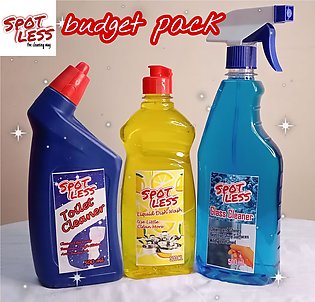 budget pack- liquid dish wash - toilet cleaner - glass cleaner - 500ml each