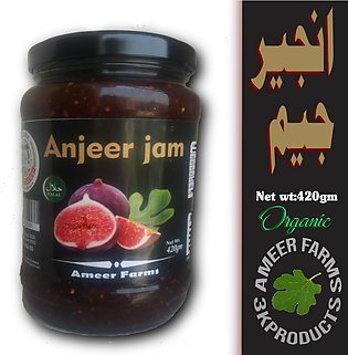 Fig jam Organic (Anjeer jam) 440 gram