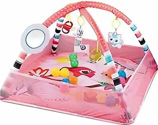 Fisher Price 3 in 1 Play Gym
