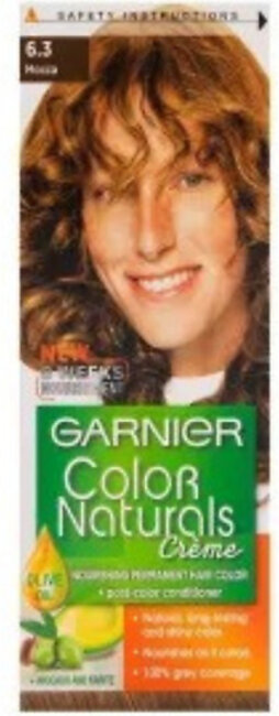 Garnier Color # 6.3